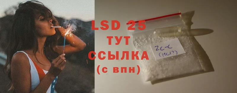 где найти наркотики  Выборг  Лсд 25 экстази ecstasy 